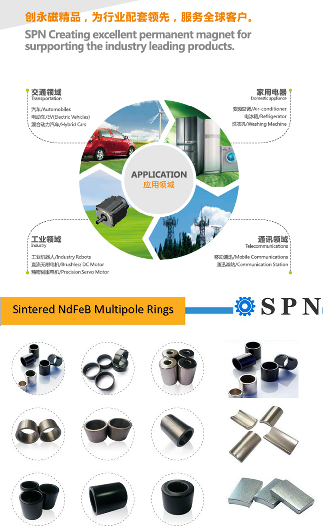 Neodymium Iron Boron Sintered Ring Magnet for BLDC Motor