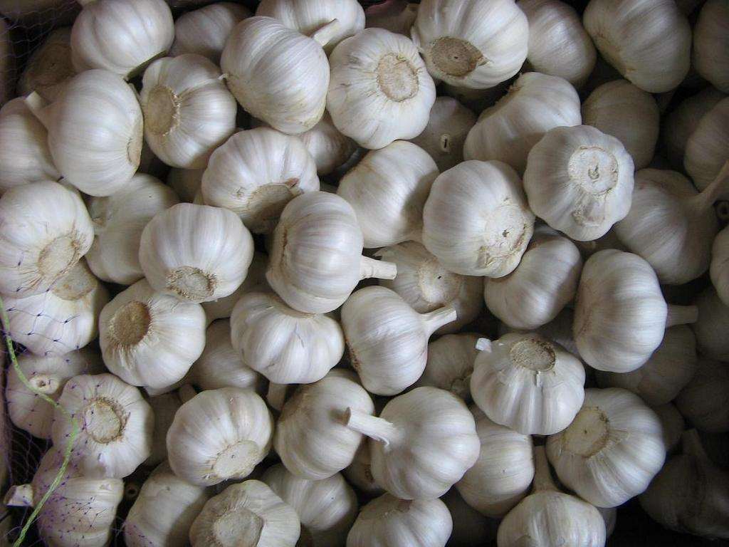 White Garlic with Competitive Price