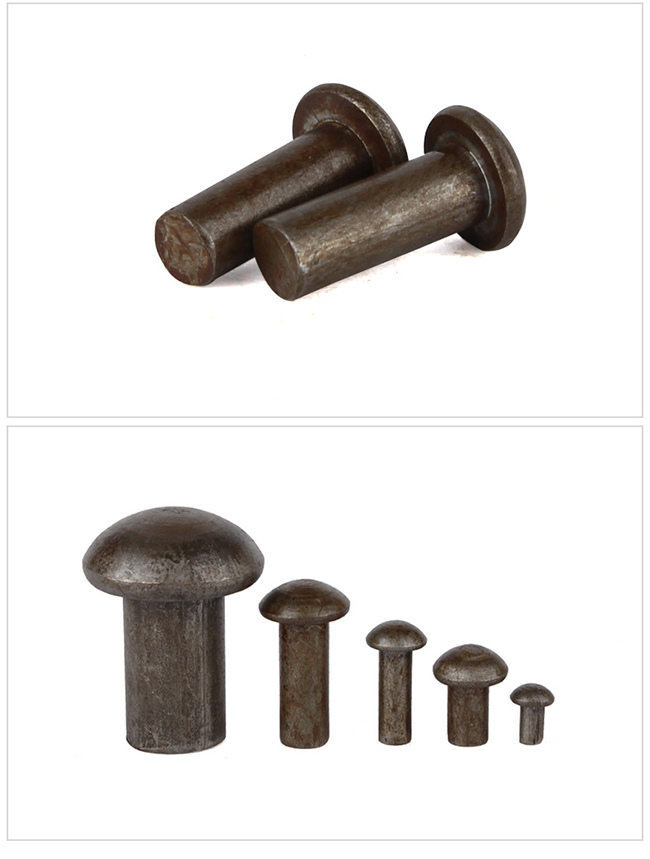 Steel Mushroom Head Solid Tin Rivet