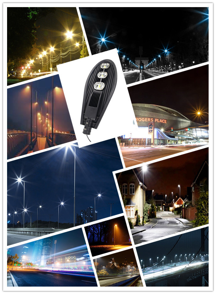 New Hot COB LED Street Light Street Light Pole Design From China Supplier