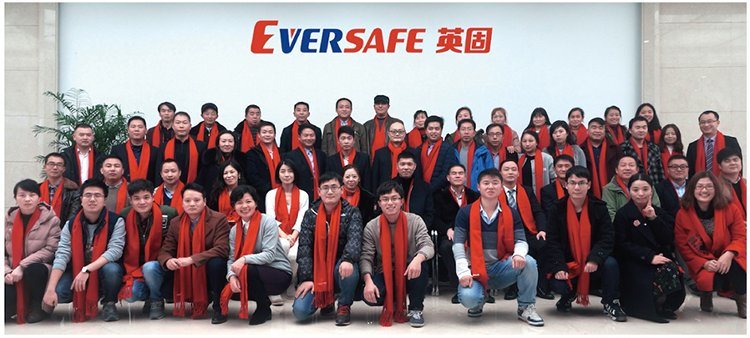 Eversafe Tyre Sealant Liquid Anti Flat From China