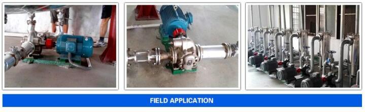 Explosion Proof Motor Type Gear Oil Pump