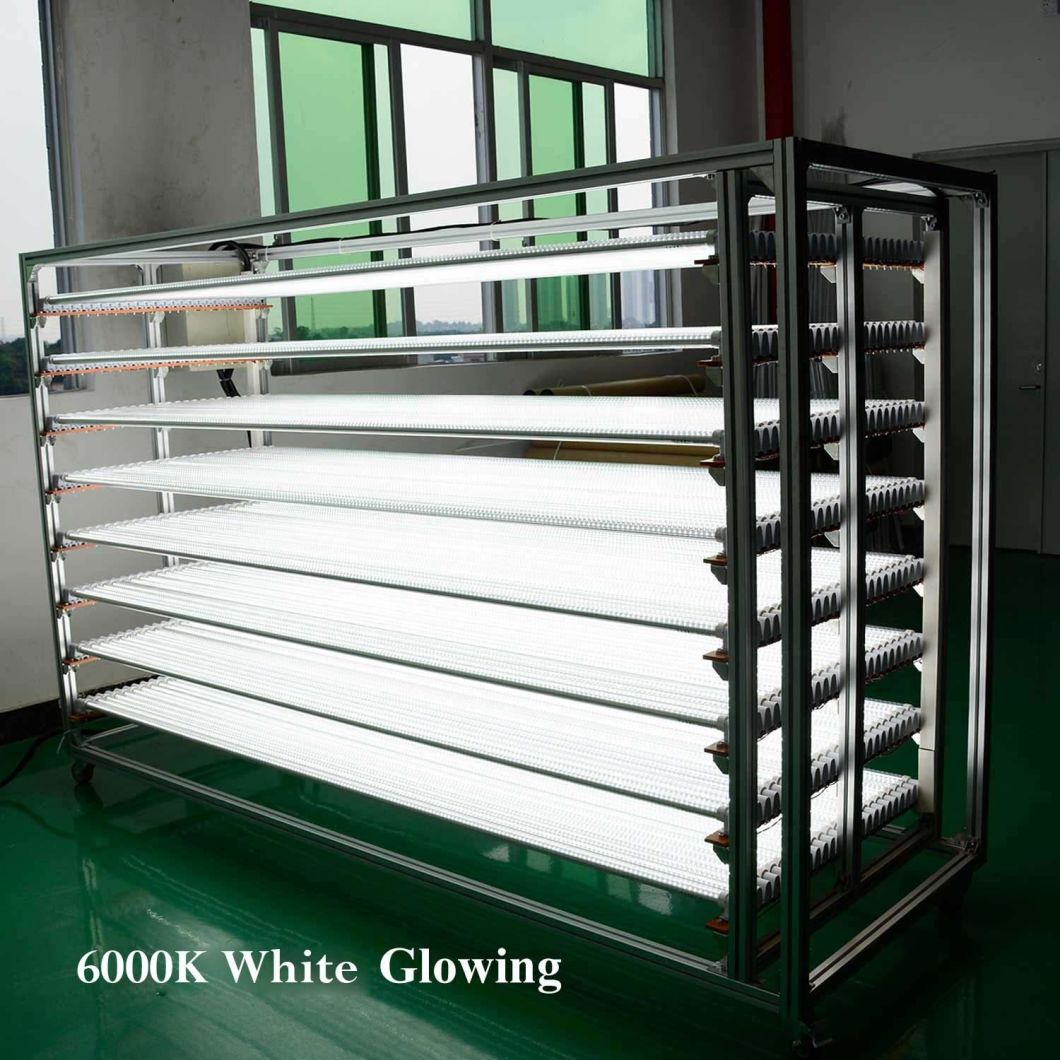 Chinses Tube LED T8 3FT 15W LED Tube T8 Lamp LED T8 Tube