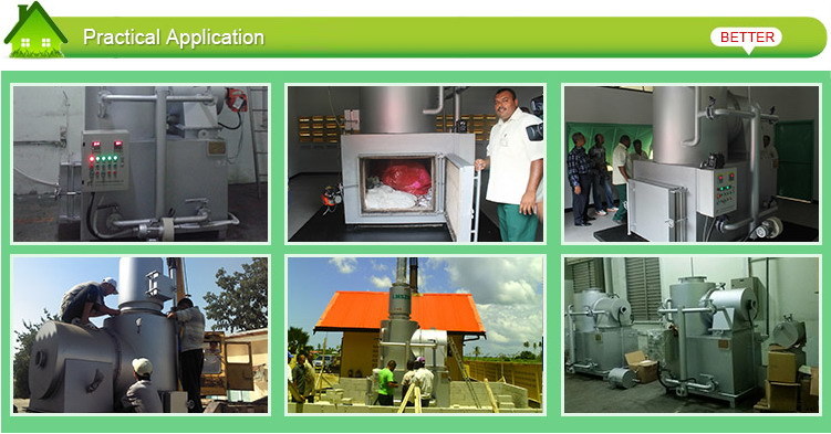 Chicken Farm Incinerator for Poultry House Waste Treatment