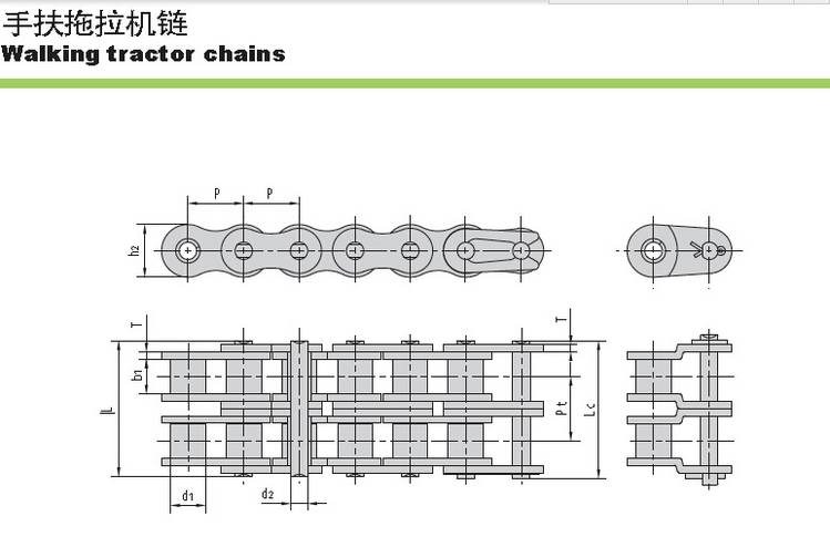 12A-2-50L ANSI Standard Steel Double Row Short Pitch Transmission Precision Roller Chain