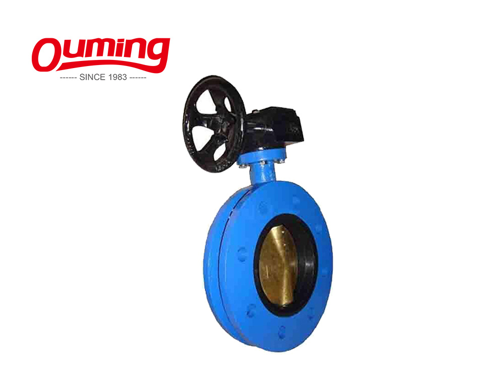 Dn40-600 Pn10/16 Manual Gear Operated Butterfly Valve