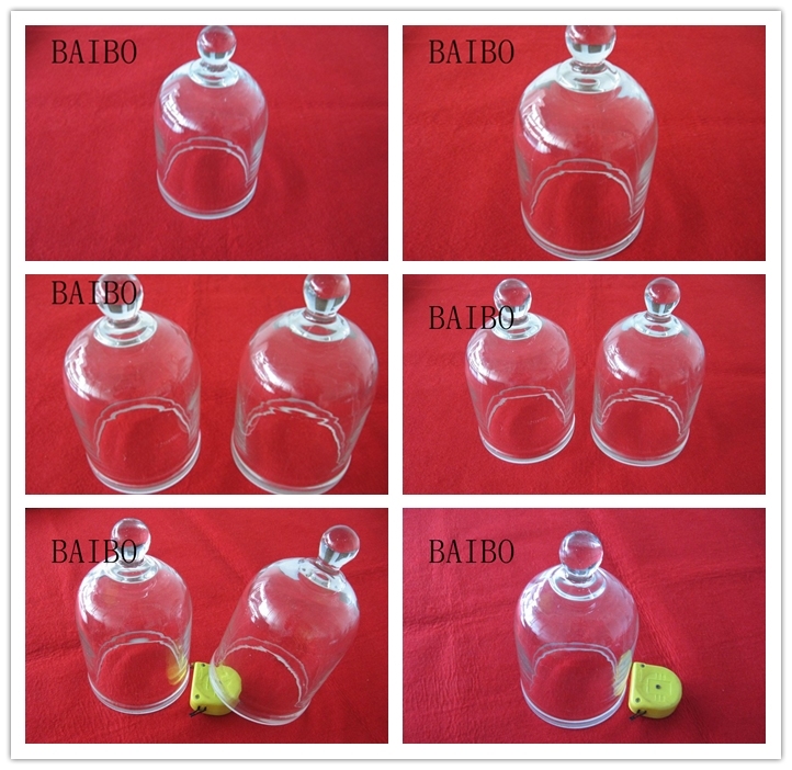Clear Bell Jar with Knob Top