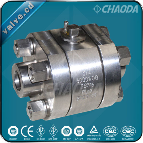 Socket Welded/Sw High Pressure Forged Ball Valve