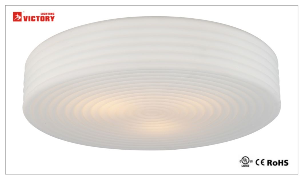 Simple Round Glass LED Ceiling Light (C-3392-260)