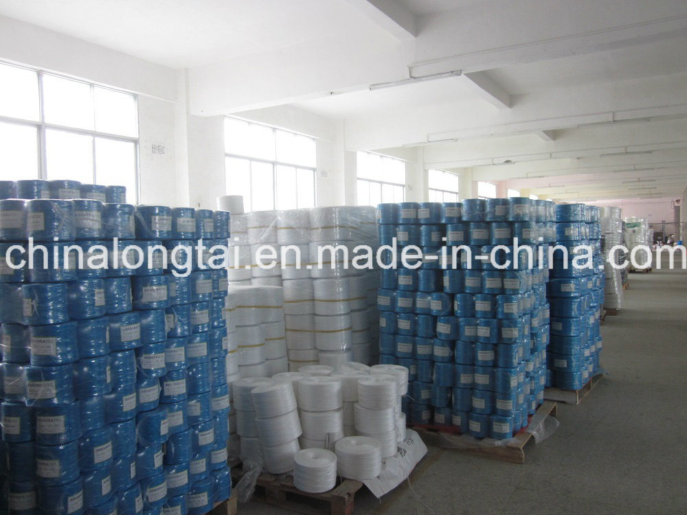 PP Twine for Banana Tomato Agriculture Packing (LT006)