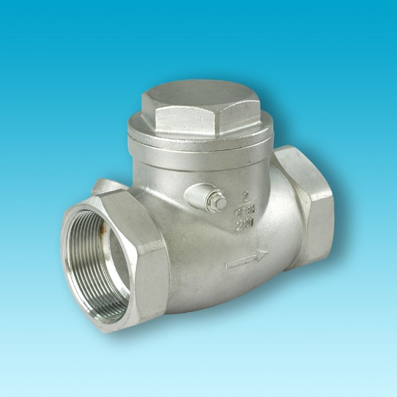 Stainless Steel 316 800wog Y-Spring Check Valves