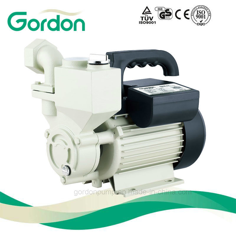 Wzb 100% Copper Surface Self Priming Vortex Agricultural Water Pump