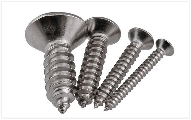 Stainless Steel 304 316 Self Tapping Drilling Screw