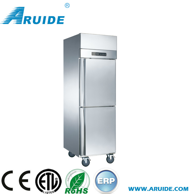 Professional SUS304 Commercial Freestanding Refrigerator with Ce and UL (D0.5L2FB)