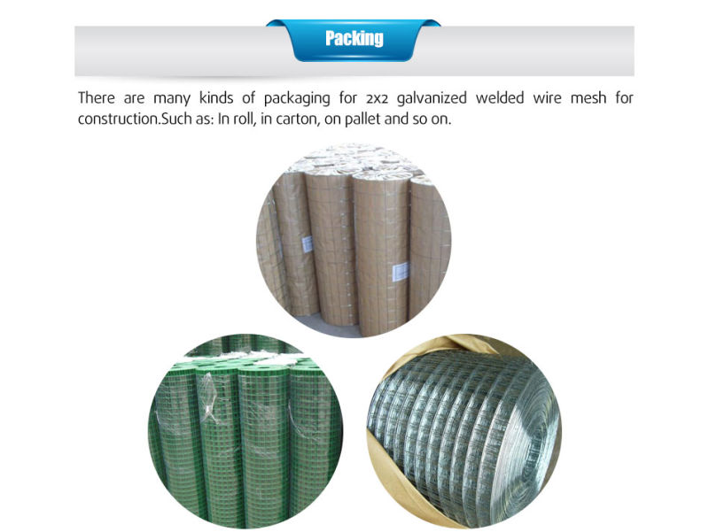 High Quality Low-Carbon Steel Wire Welded Wire Mesh / Square Hole Galvanized Welded Wire Mesh