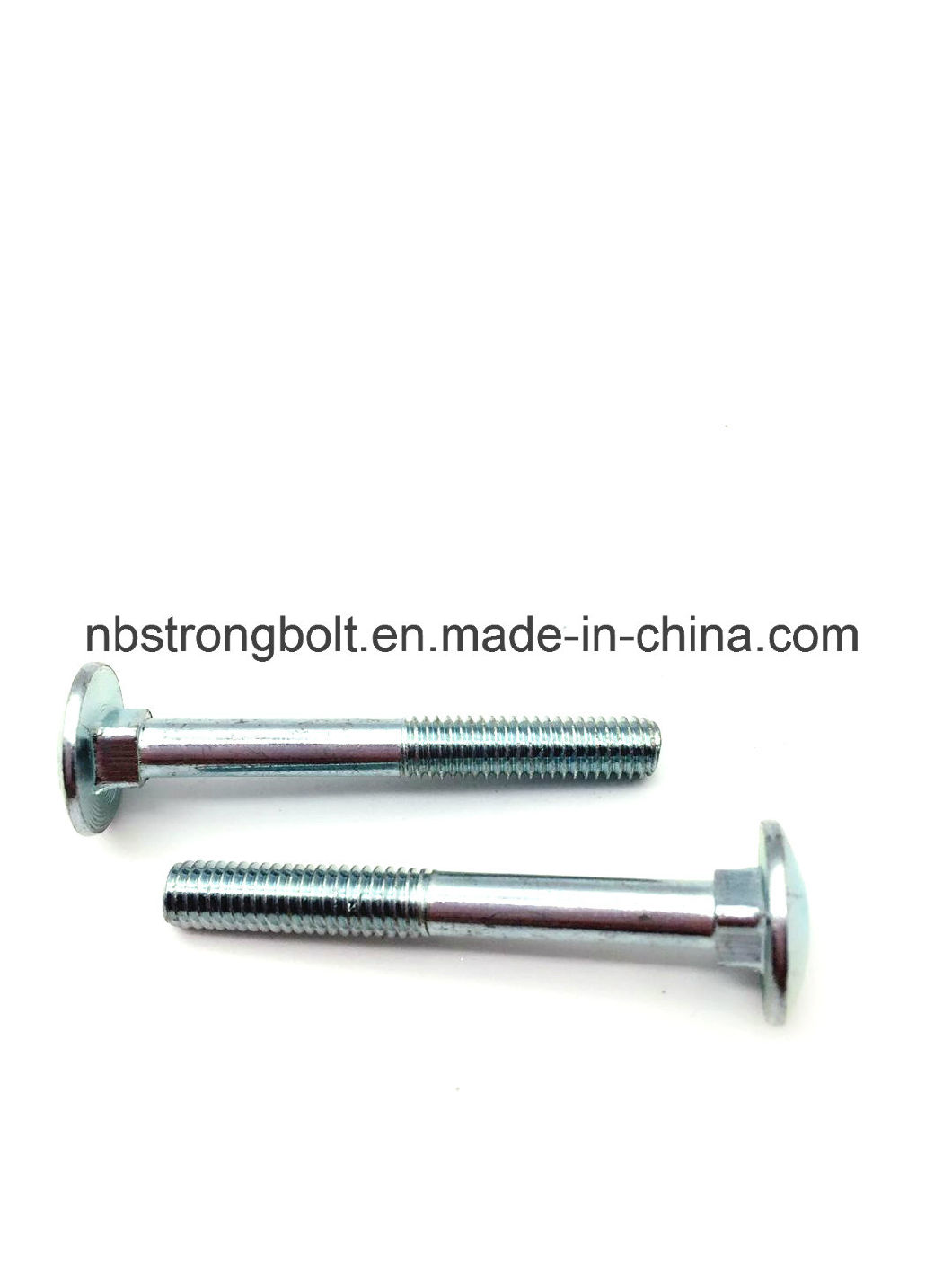 DIN603 Mushroom Head Square Neck Bolt with Cl. 4.8