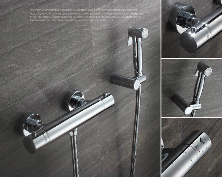 Modern Design Multifunction Rainfall Faucet Shower Set with Handle