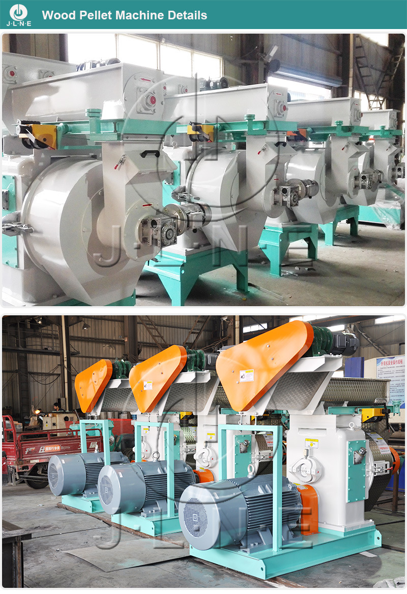 Top Manufacture Professional Pellet Press Biomass/Sawdust/Palm Pelletizer