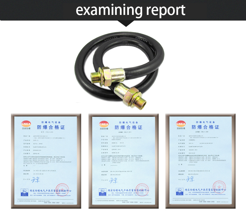 Explosion Proof Flexible Connecting Stainless Steel Explosion-Proof Hose