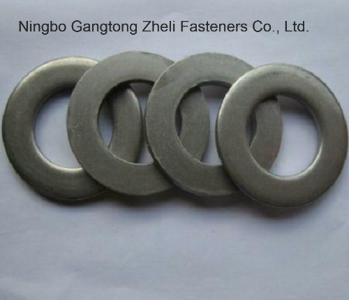 Stainless Steel 304 DIN125-1 Grade a Flat Washer