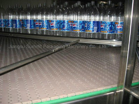 Conveyor for Empty Bottles & Cans