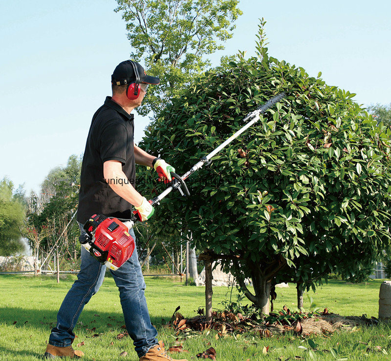 Gasoline Grass Trimmer Cg300e Brush Cutter