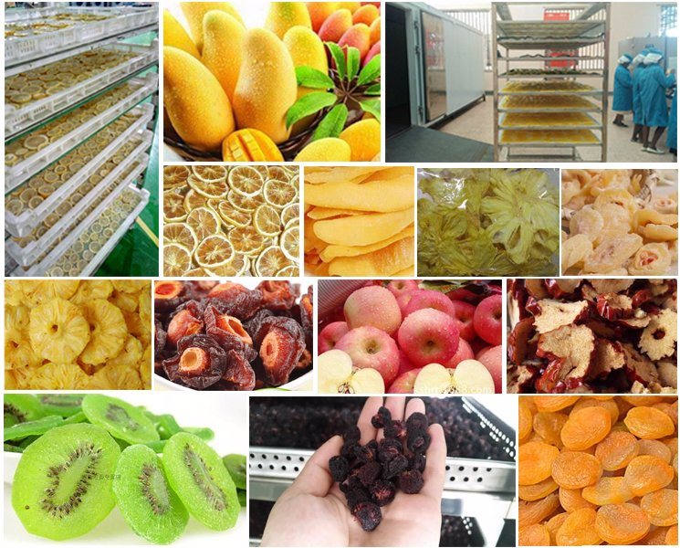 China Factory Price Industrial Fruit Dryer Machine