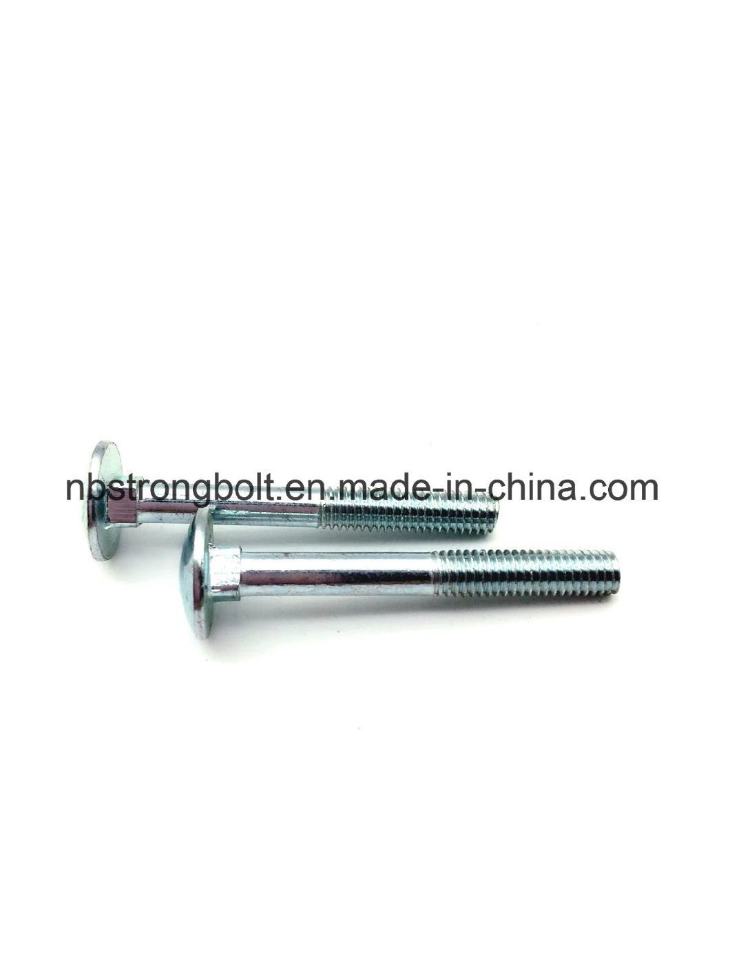 DIN603 Mushroom Head Square Neck Bolt with Cl. 4.8
