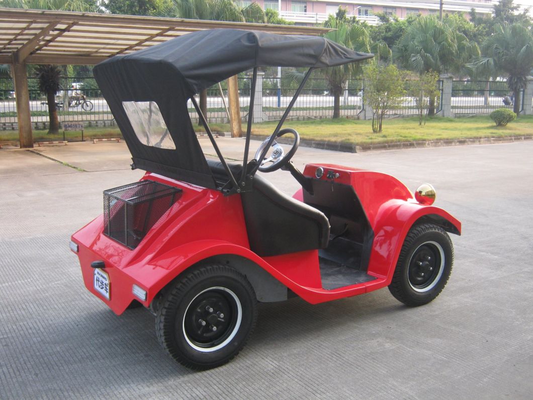 Fashionable Electric Bubble Car 2 Seats Mini Golf Cart