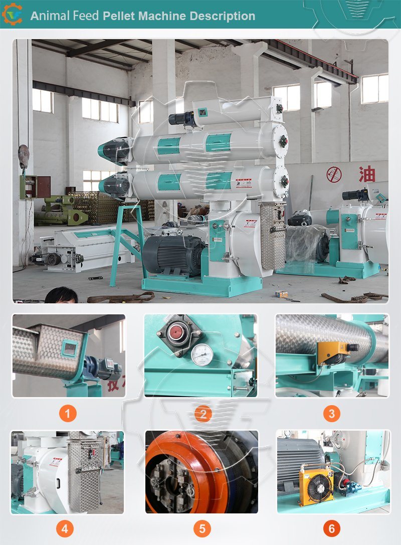 Livestock Feed Pellet Granulator Machine Pelletizer for Sale