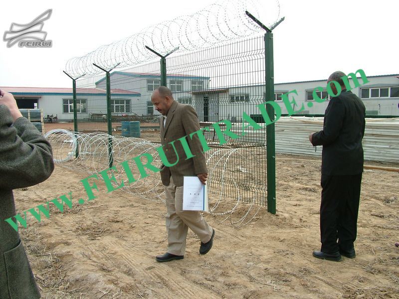 Galvanized and PVC Coated Welded Wire Mesh Fence