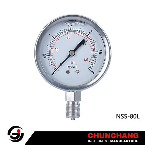 All Stainless Steel Liquid Filled Pressure Gauge (TYPE E)