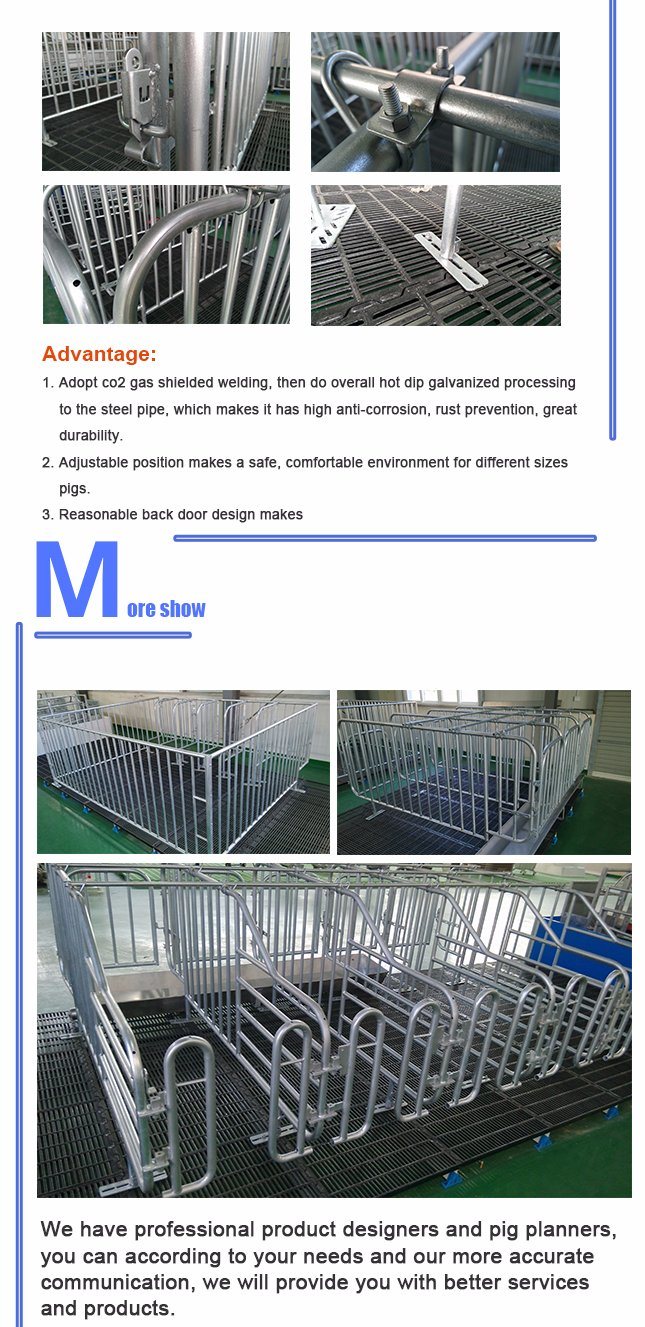 Pig Breeding Equipment Sow Gestation Cage for Sale