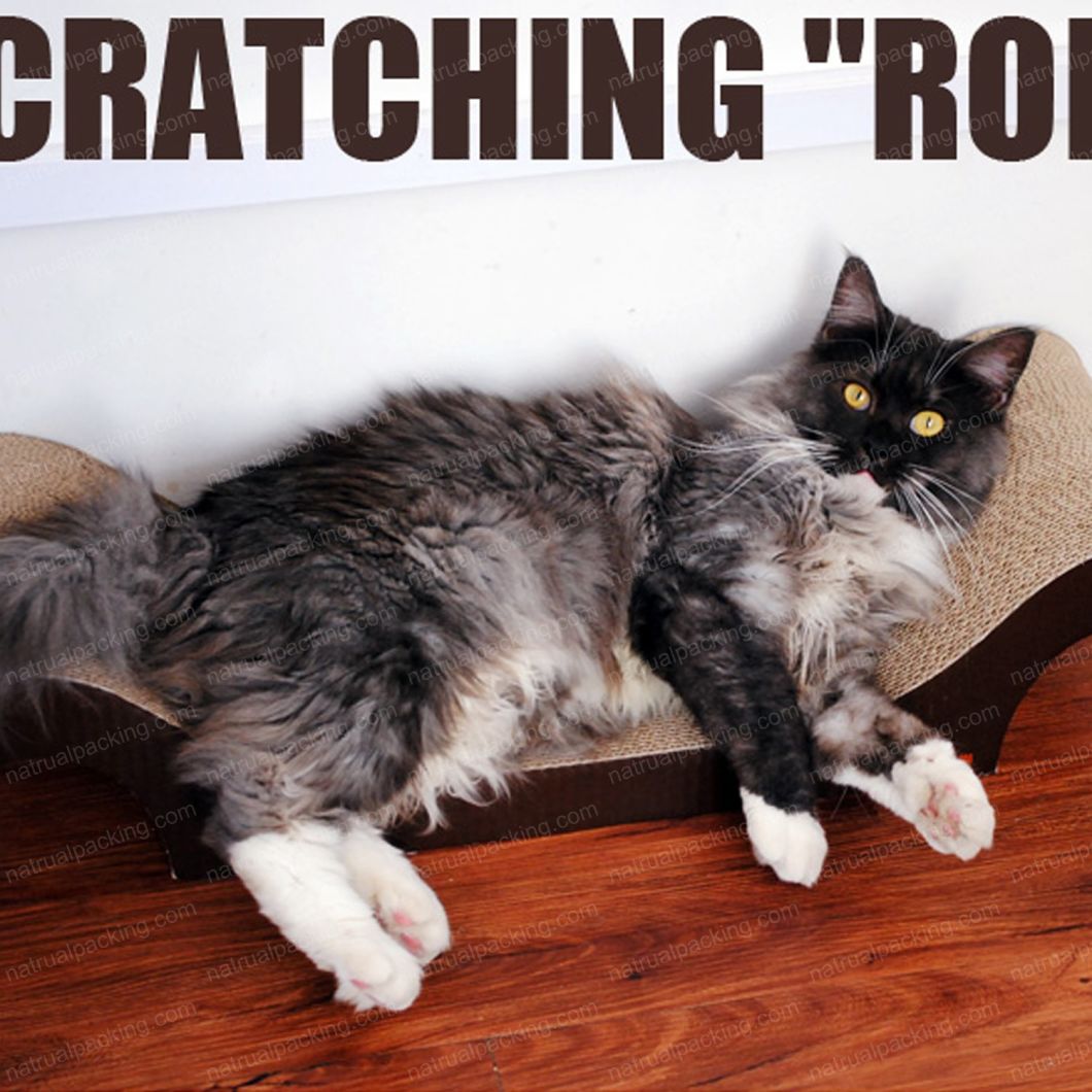 Custom Paper Cats Toy Supply Tree Scratcher Cat Scratch Board