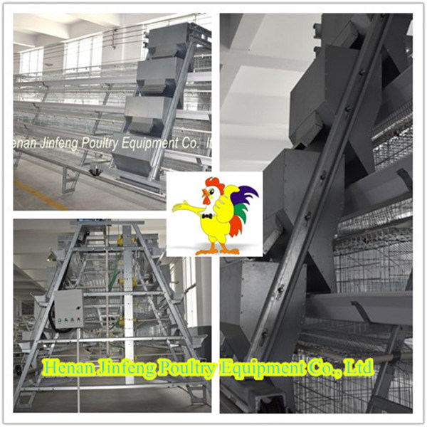 High Quality Steel Poultry House Chicken Farm Equipment