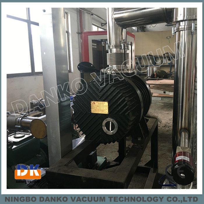 High Purity Vacuum Roots Pump Rto. 1200