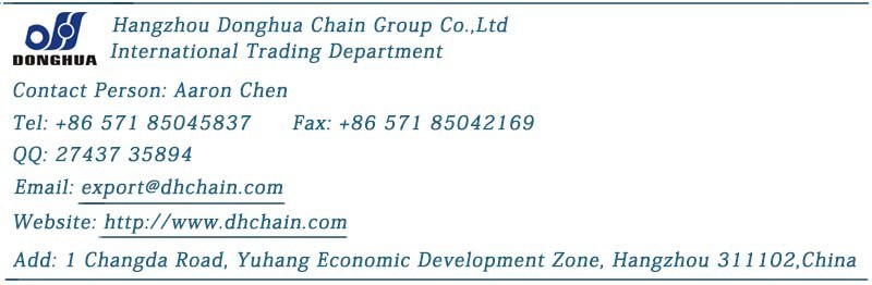 Double Pitch Chain with Large Roller - C2052