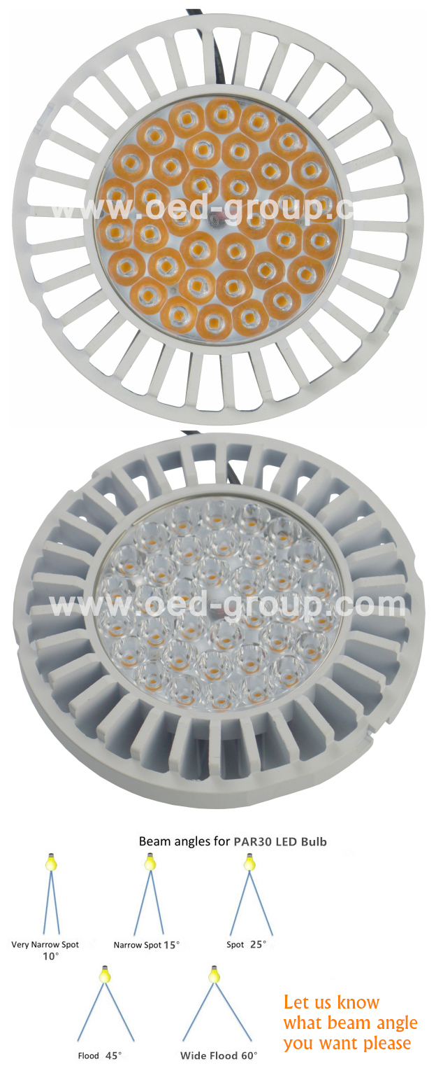 AR111 Track Light 30W with Osram S5 LEDs and Built-out Driver 95lm/W AR111 LED Light