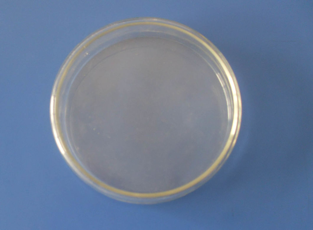 60mm, 75mm, 90mm, 120mm, 150mm Glass Petri Dish for Lab Testing