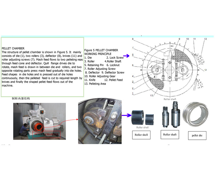 Boiler Chicken Organic Feed Granulator with High Quality