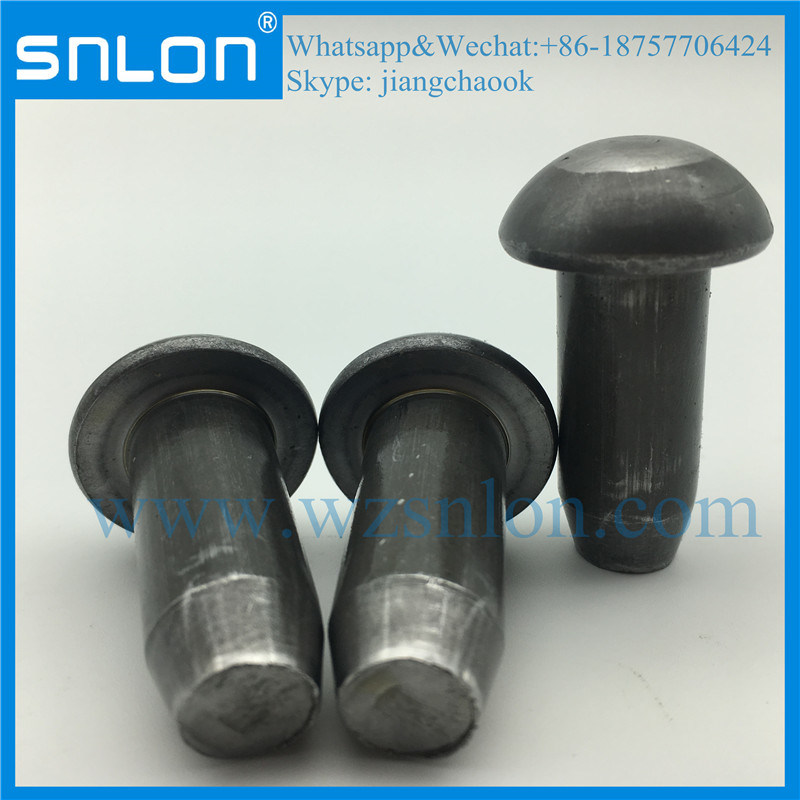 High Quality Round Head Rivet Blind Rivet with Chamfer Pin
