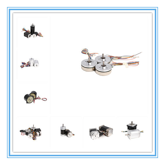 High Quality 12V 24V 10W 20W DC Brushless Micro Motor