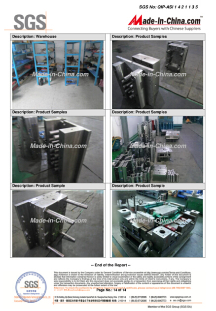 Custom Plastic Injection Mould for Home Appliance