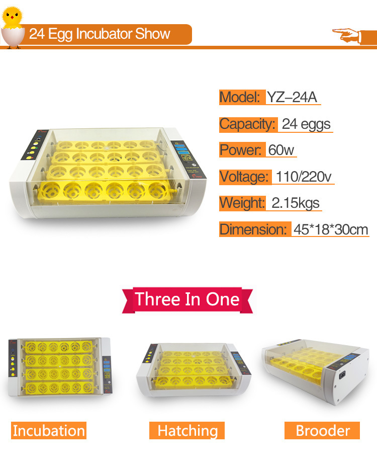 Hhd Automatic Turning Small Poultry 24 Chicken Egg Incubator