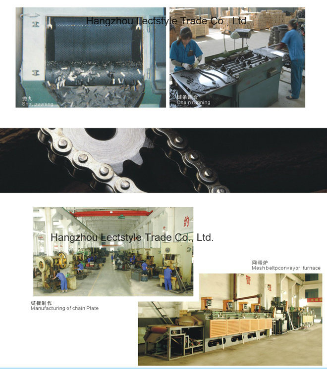 P150-2L, P100-4L, P200-2L Bucket Elevator Conveyor Chain for Cement Mill Industry