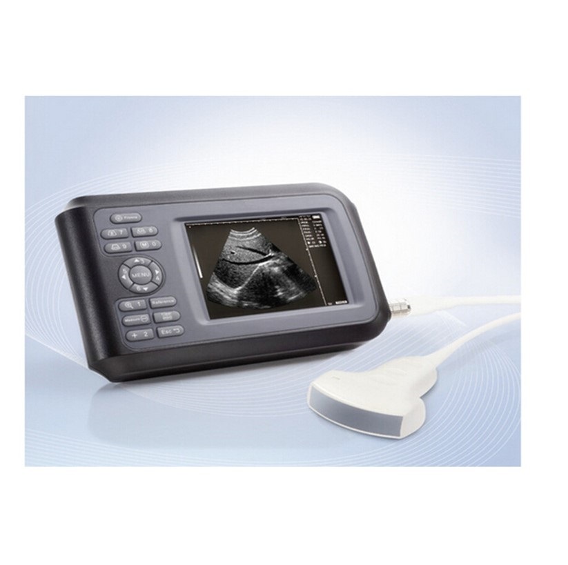 5.5 Inch Monitor Handheld Portable 3.5MHz Ultrasound Scanner