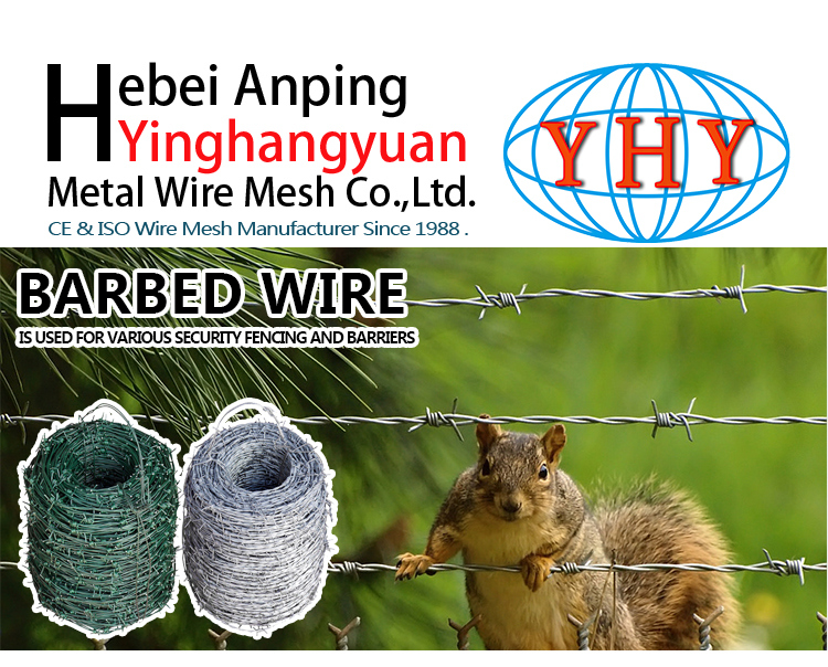 PVC Coated Galvanized Barbed Wire