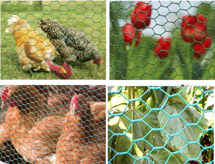 PVC Coated Galvanized Hexagonal Wire Chicken Mesh