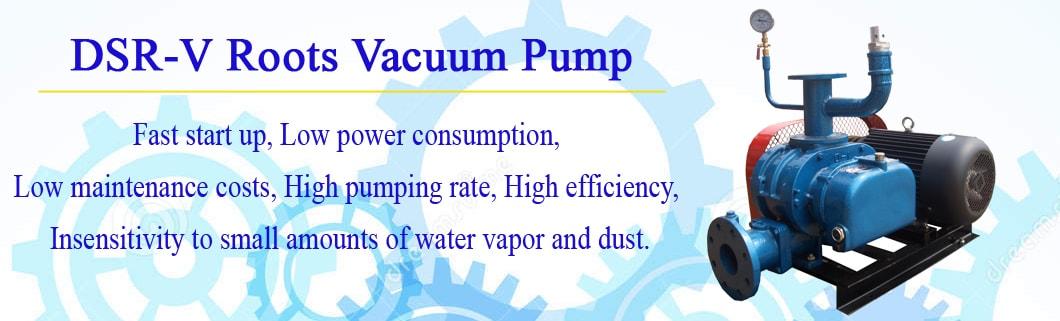 Dsr-V Long Service Life Roots Vacuum Pump Manufacturer with Ce Certificate