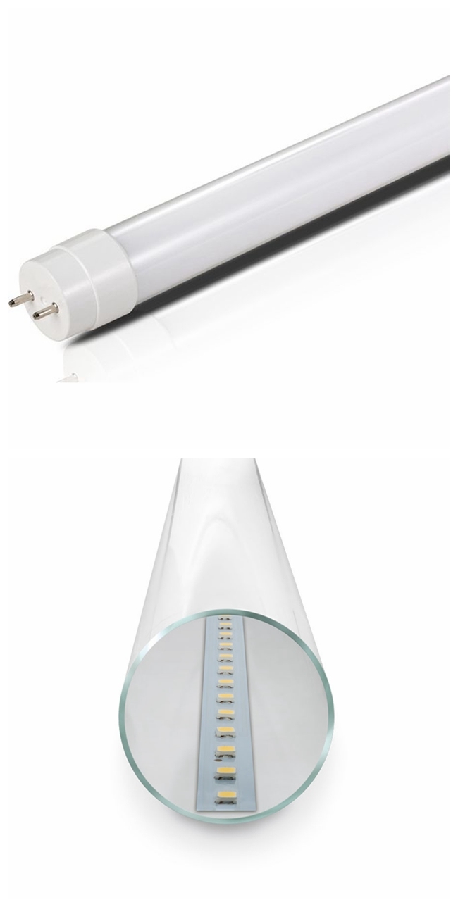 10W/18W/24W Energy Saving High Lumen Efficiency LED T8 Glass Tube